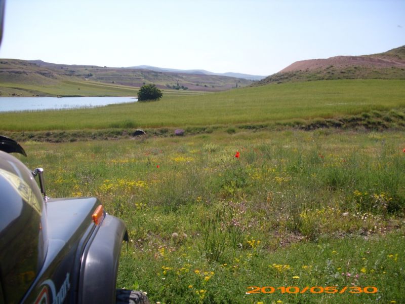 DSCI0427.jpg