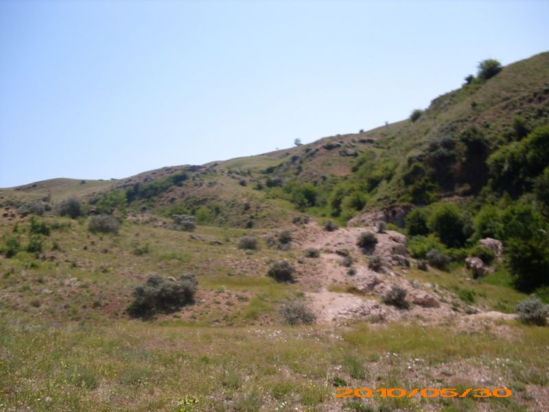 DSCI0476.jpg