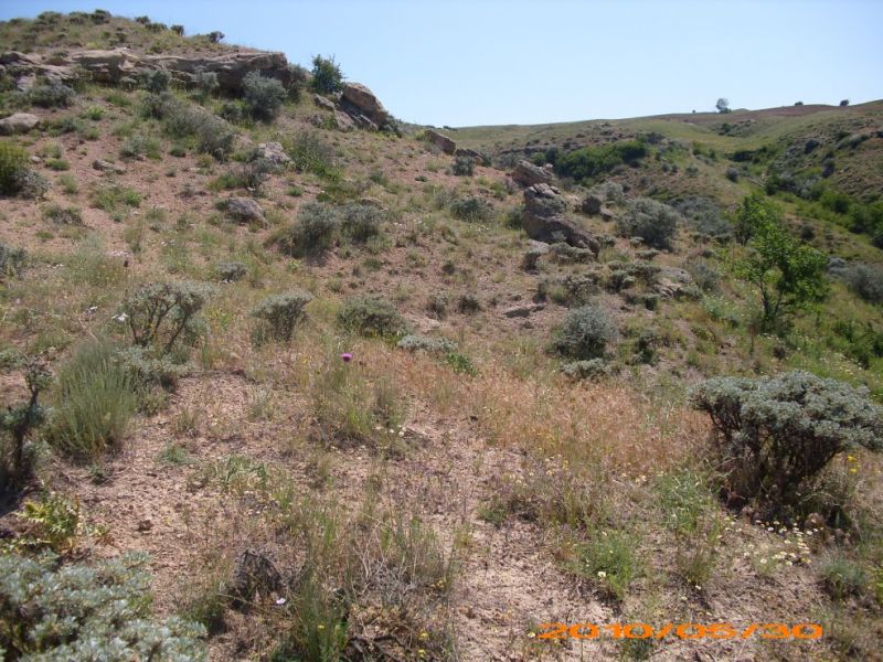 DSCI0477.jpg