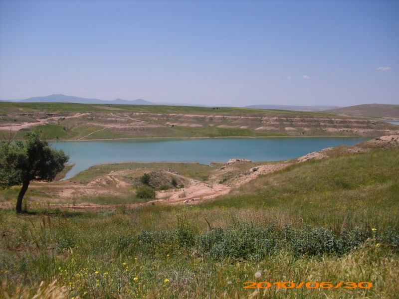 DSCI0482.jpg