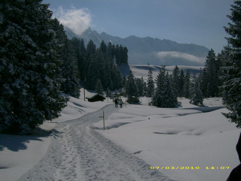 DSCI0621.jpg
