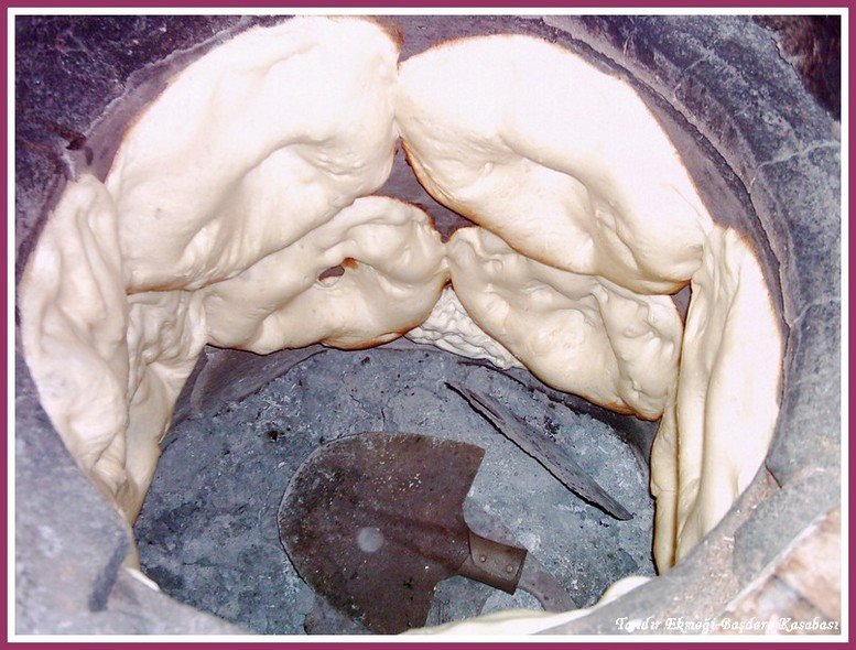 DSCI0972.jpg
