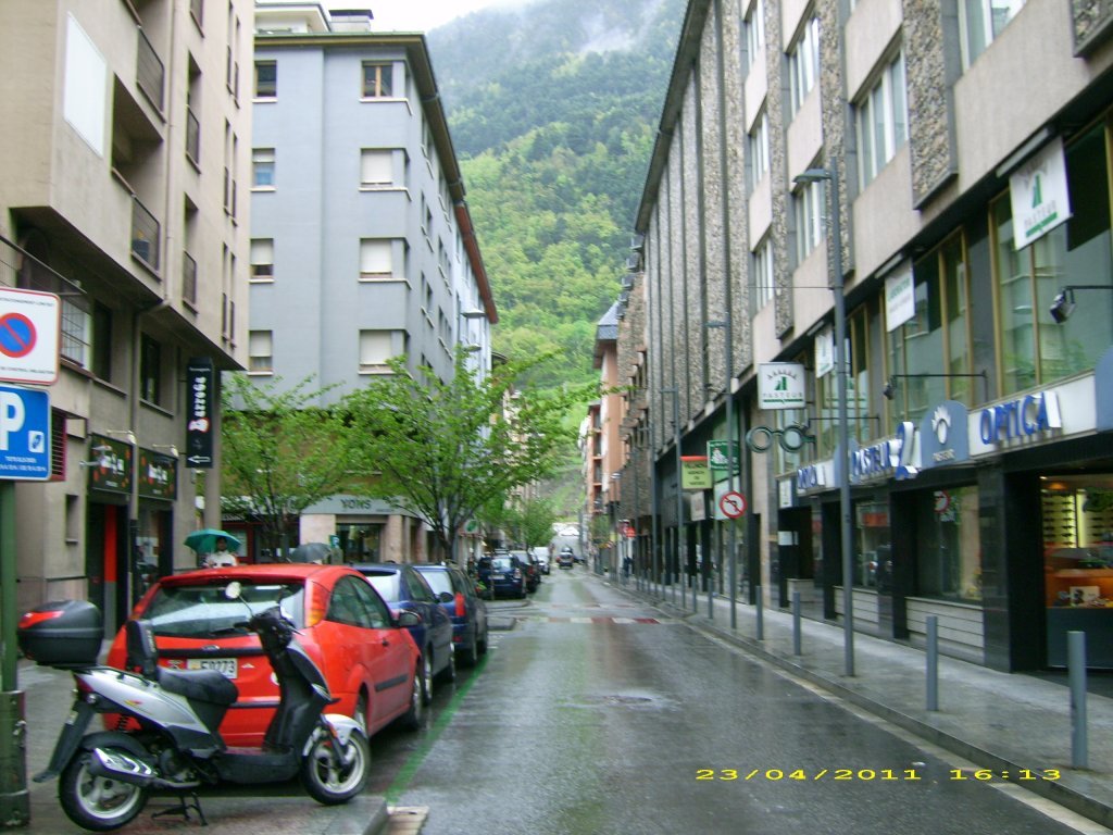 DSCI1204.jpg