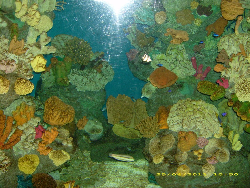 DSCI1349.jpg