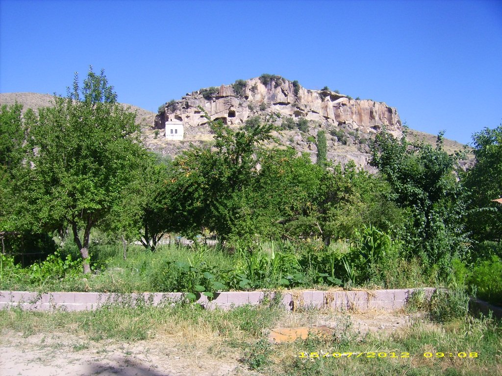DSCI1363.JPG