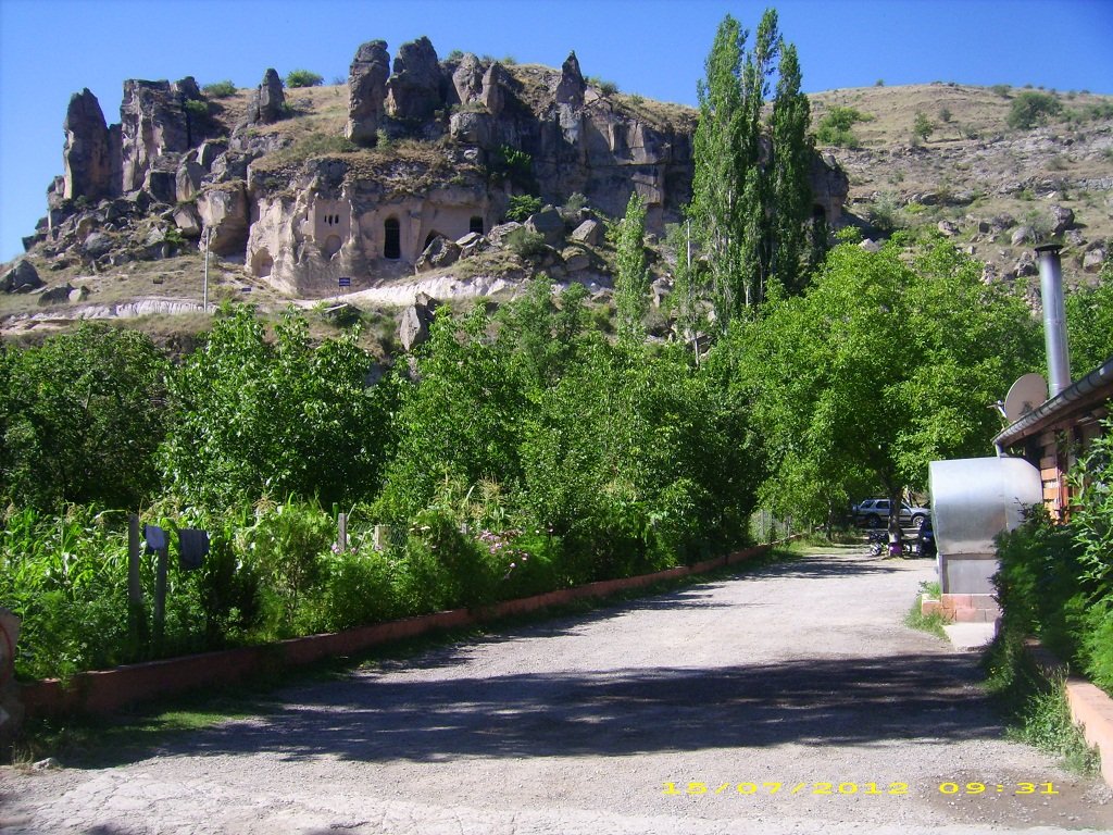 DSCI1366.JPG