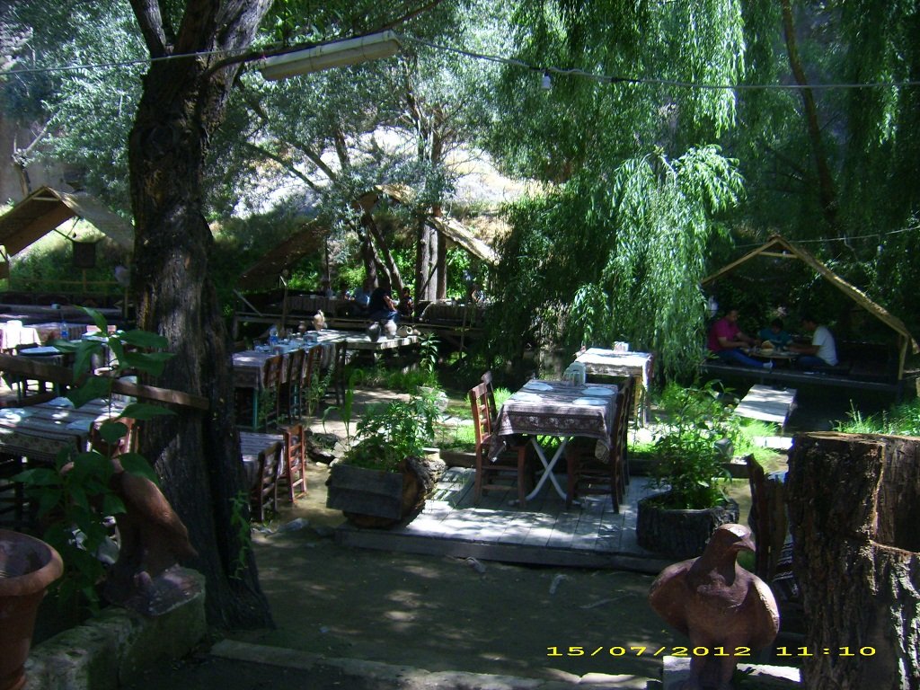 DSCI1378.JPG