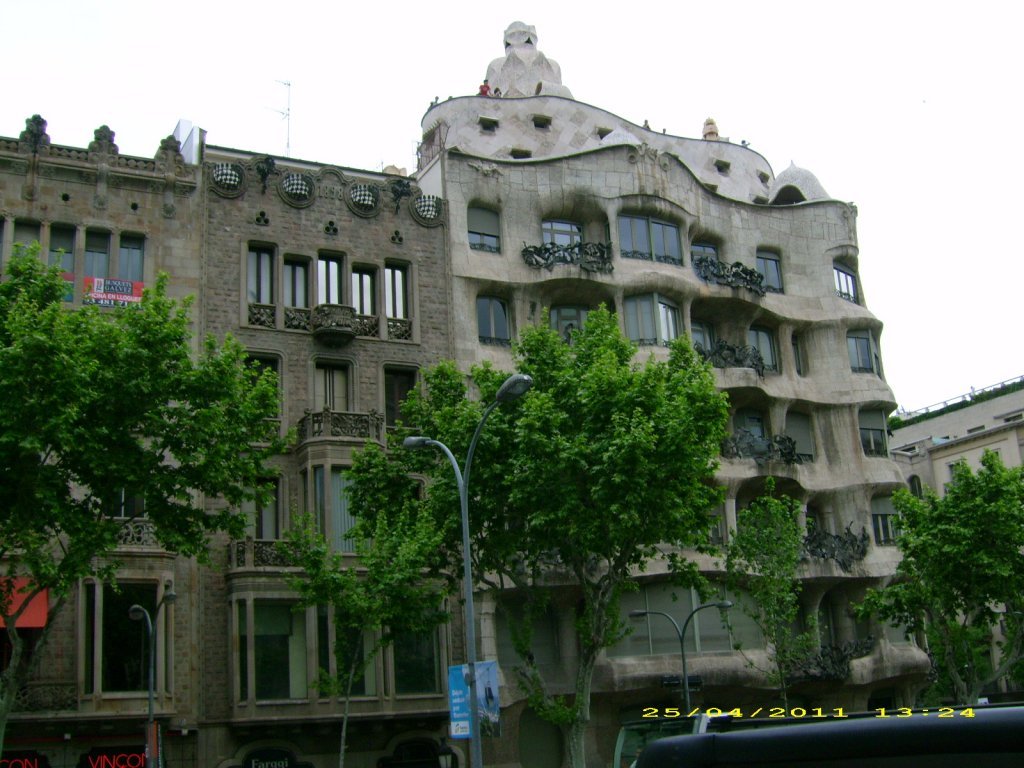 DSCI1401.jpg