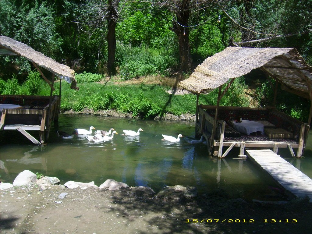 DSCI1434.JPG