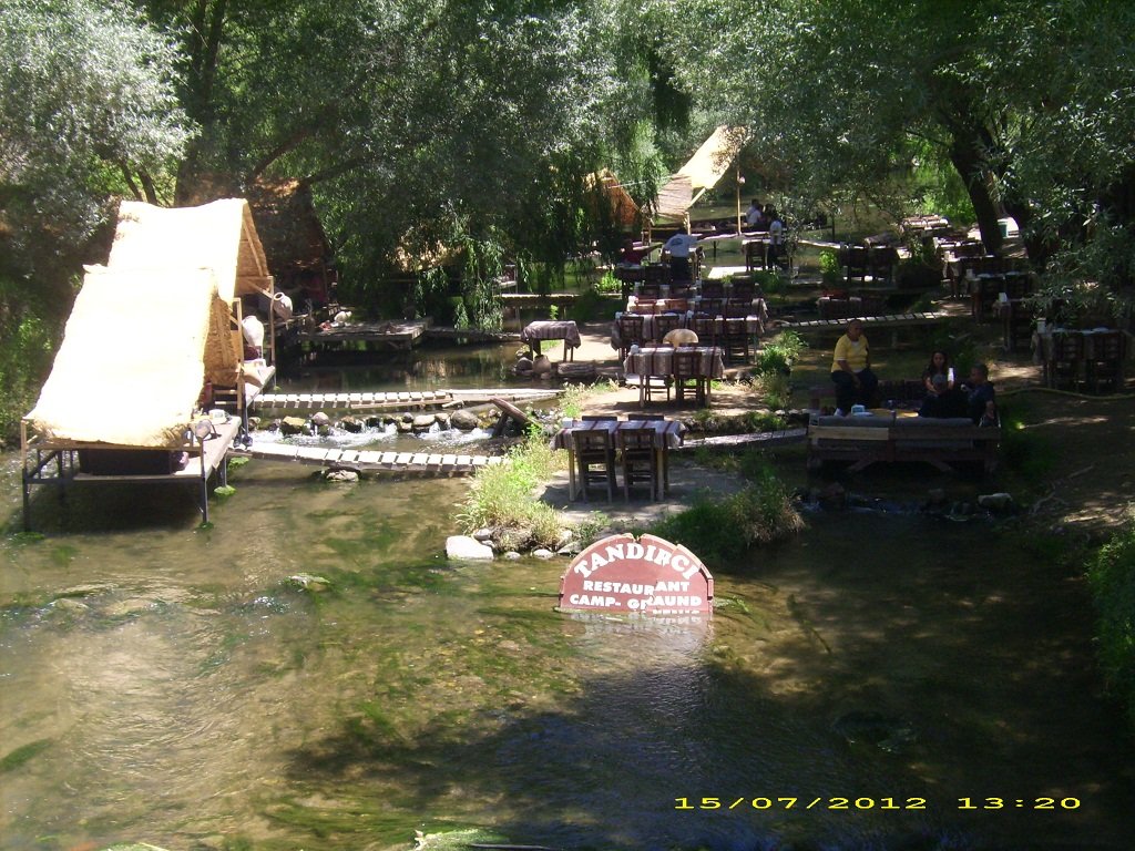 DSCI1445.JPG