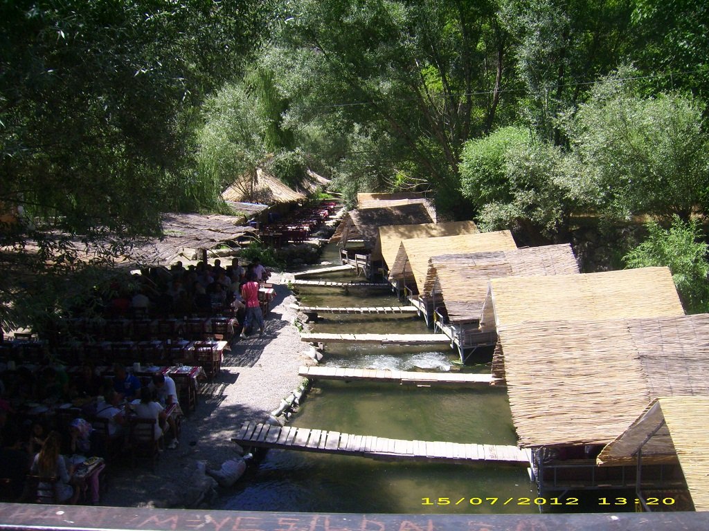 DSCI1447.JPG