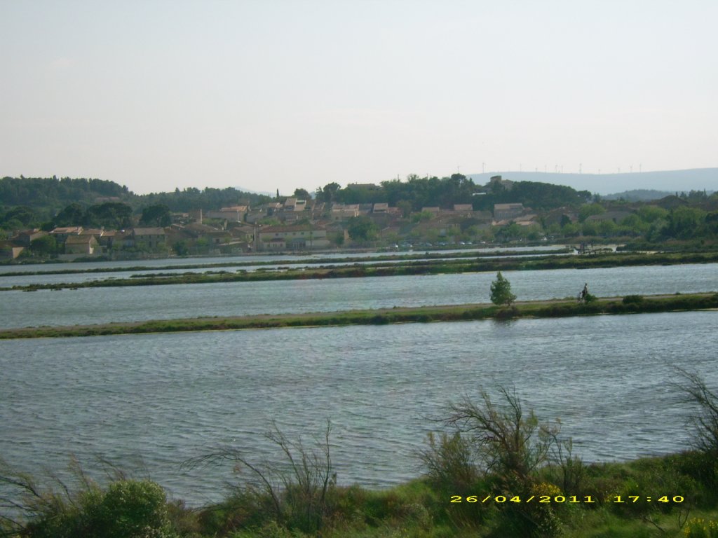 DSCI1475.jpg