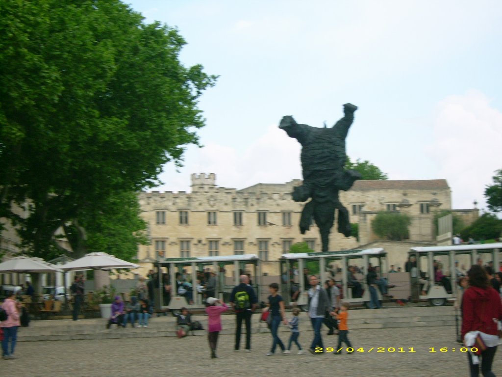 DSCI1528.jpg