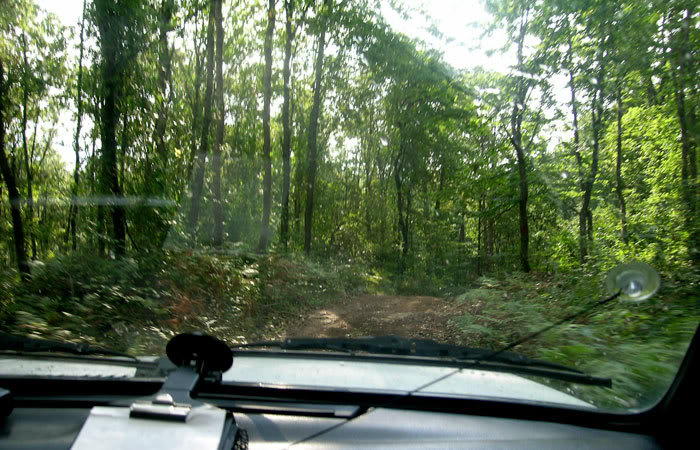 DSCN0005-1.jpg