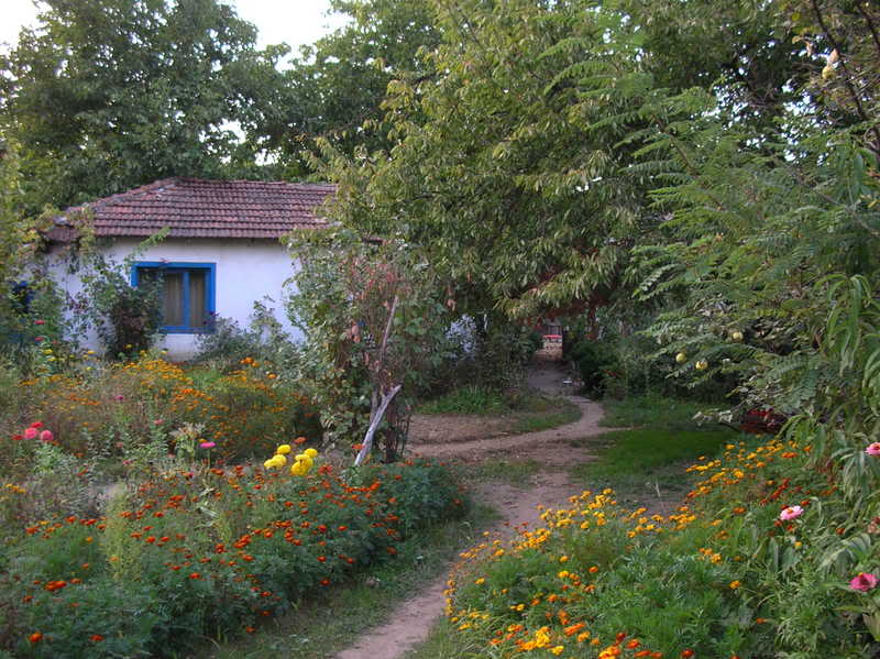 Dscn0022.jpg
