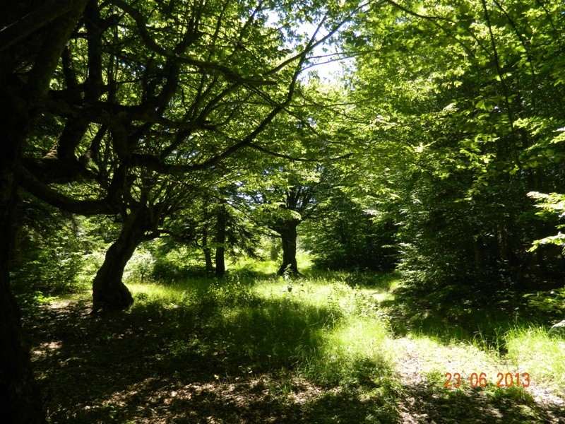 DSCN0046.JPG