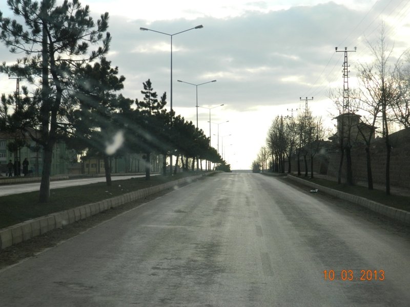 DSCN0097.JPG