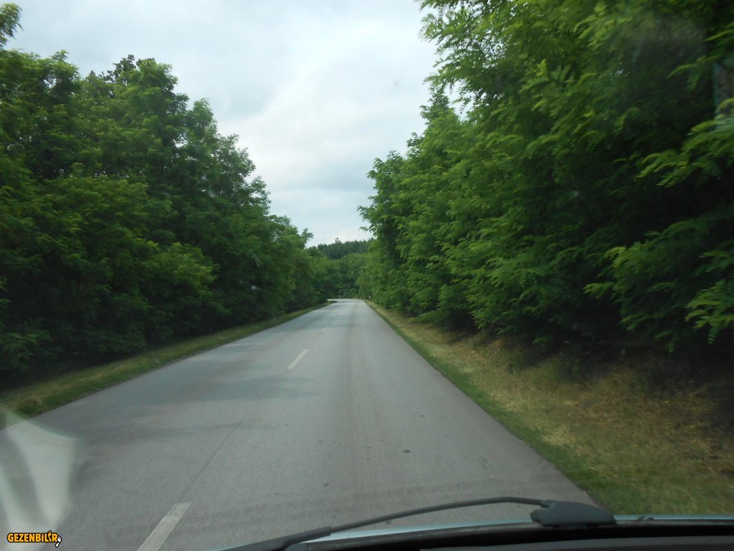 DSCN0148.JPG