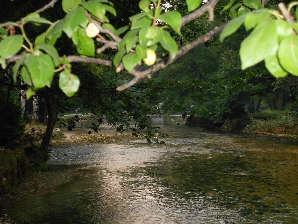 DSCN0165.JPG