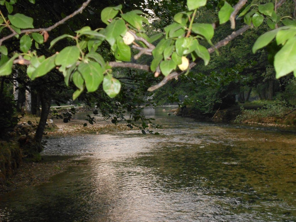 DSCN0166.JPG