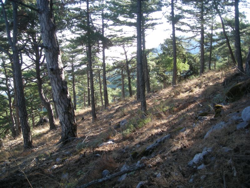 DSCN0186.jpg