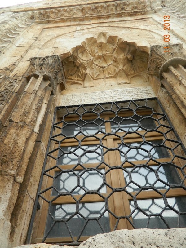 DSCN0205.JPG