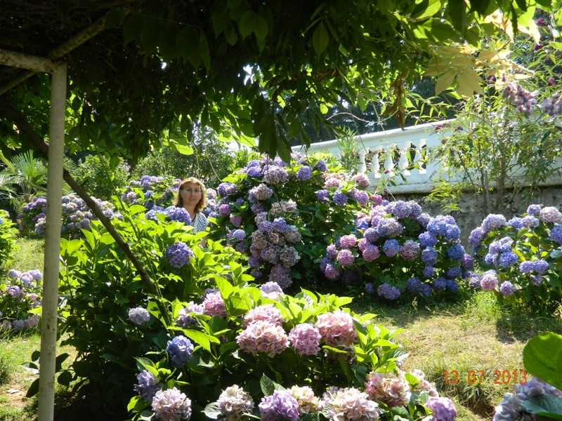 DSCN0224.JPG