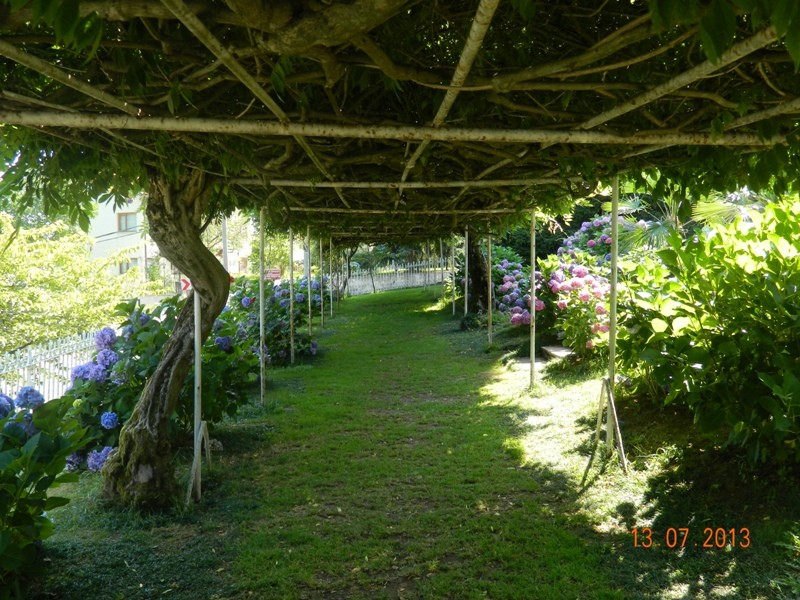 DSCN0225.JPG