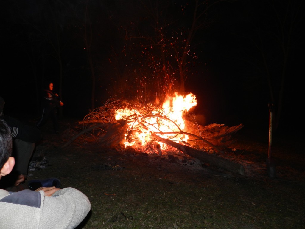 DSCN0276.JPG