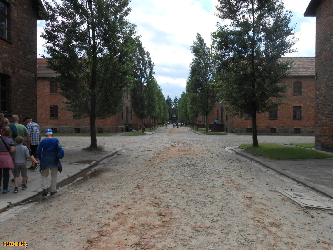 DSCN0292.JPG