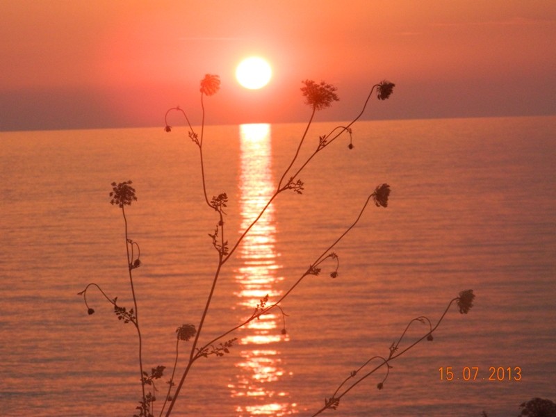 DSCN0325.JPG