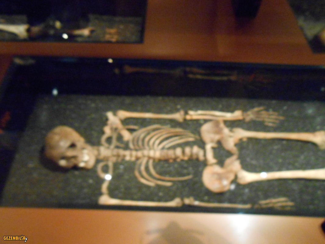 DSCN0663.JPG