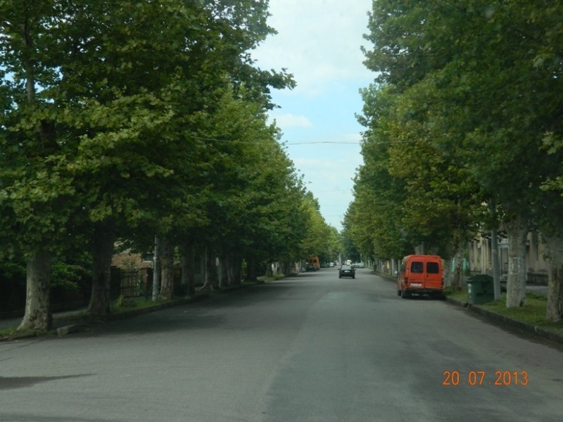 DSCN0683.JPG
