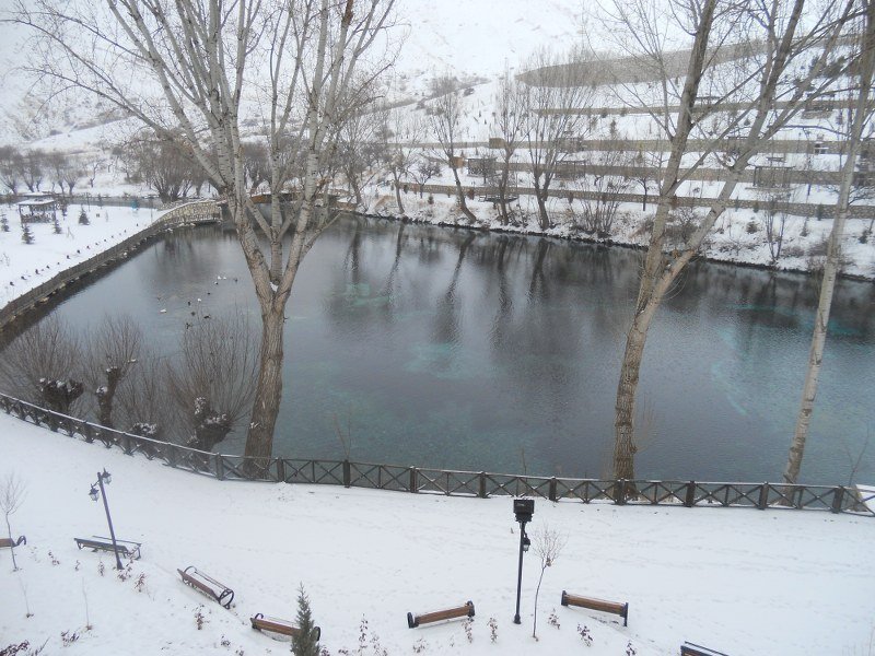 DSCN0807.JPG
