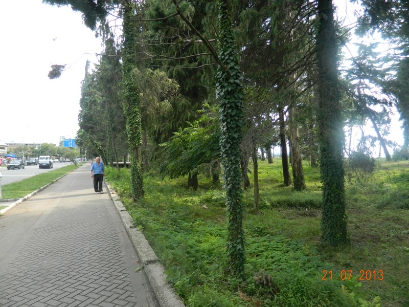 DSCN0867.JPG