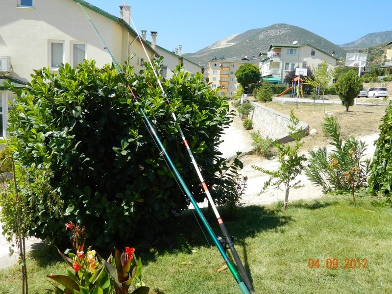 DSCN1111.JPG