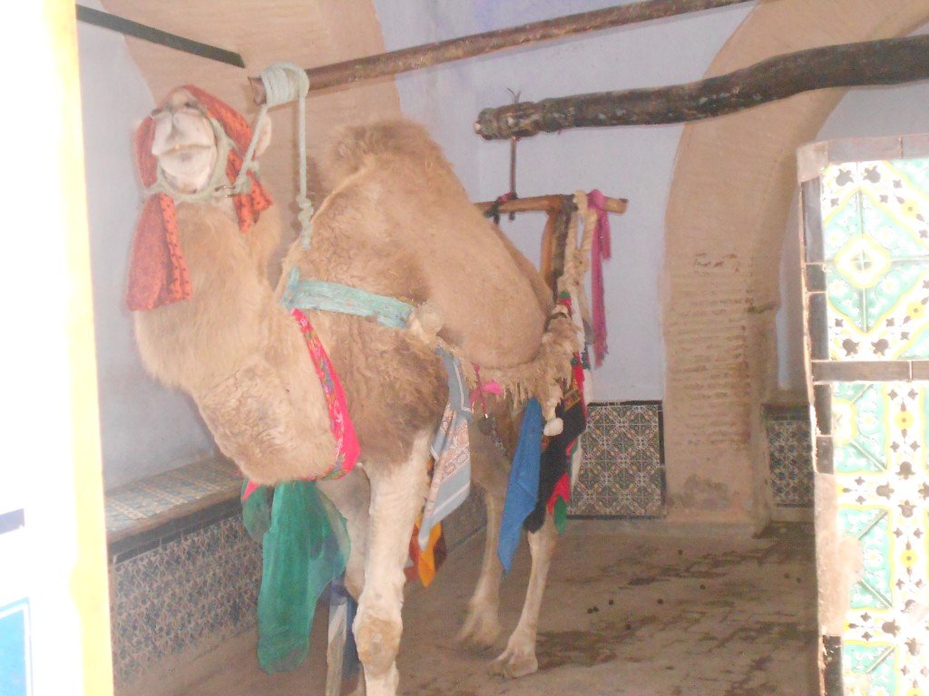 DSCN1114.JPG