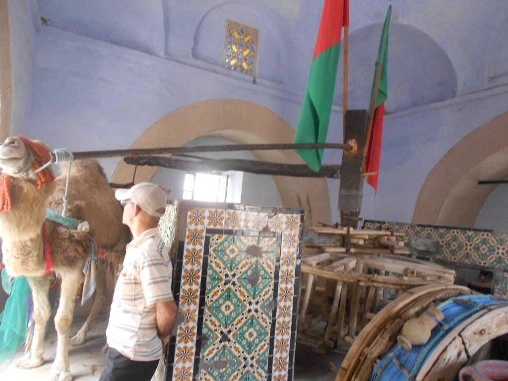 DSCN1120.JPG