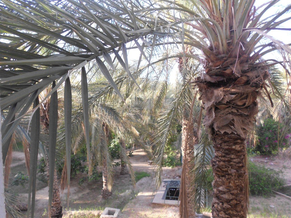 DSCN1139.JPG