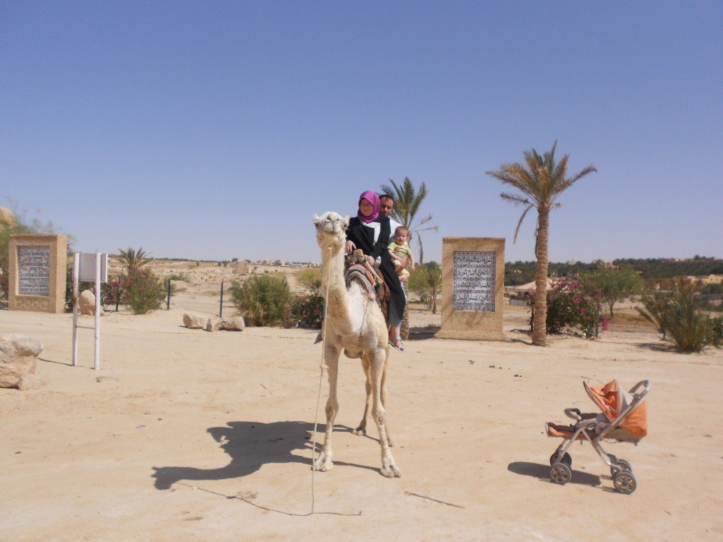 DSCN1165.JPG
