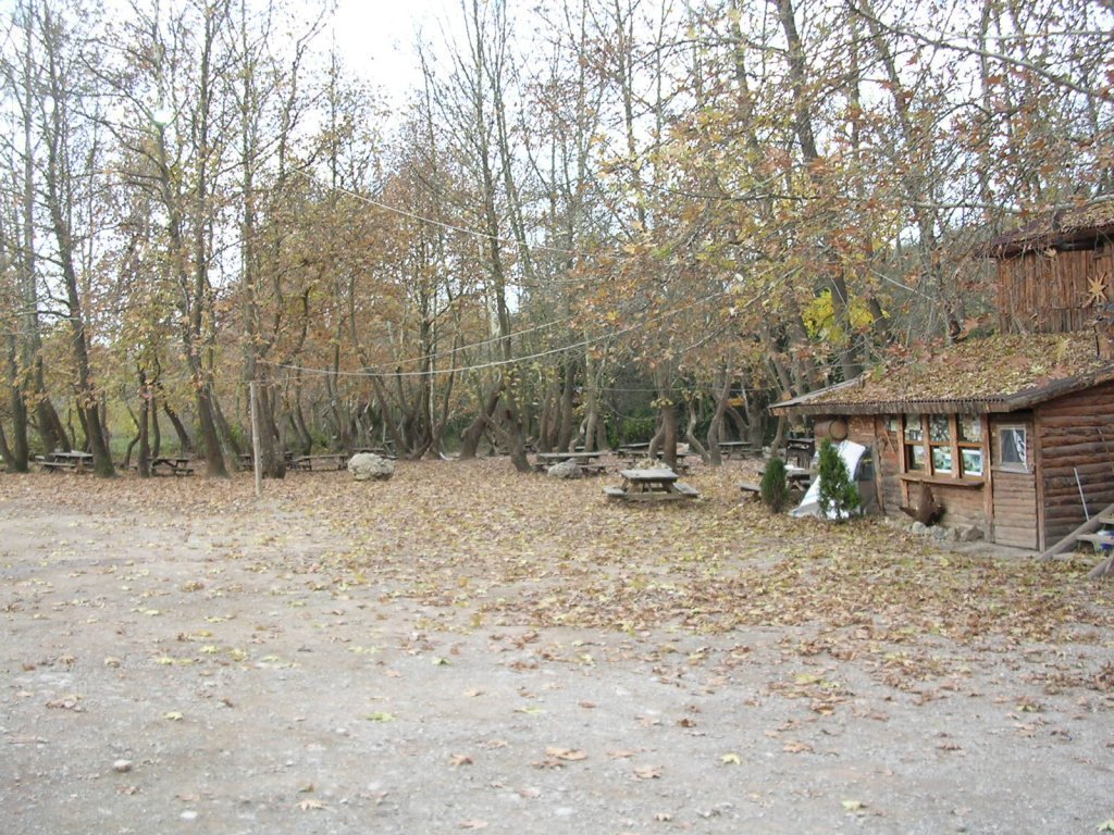 DSCN1260.JPG