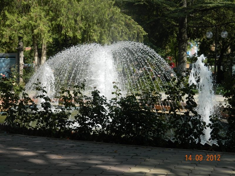 DSCN1260.JPG