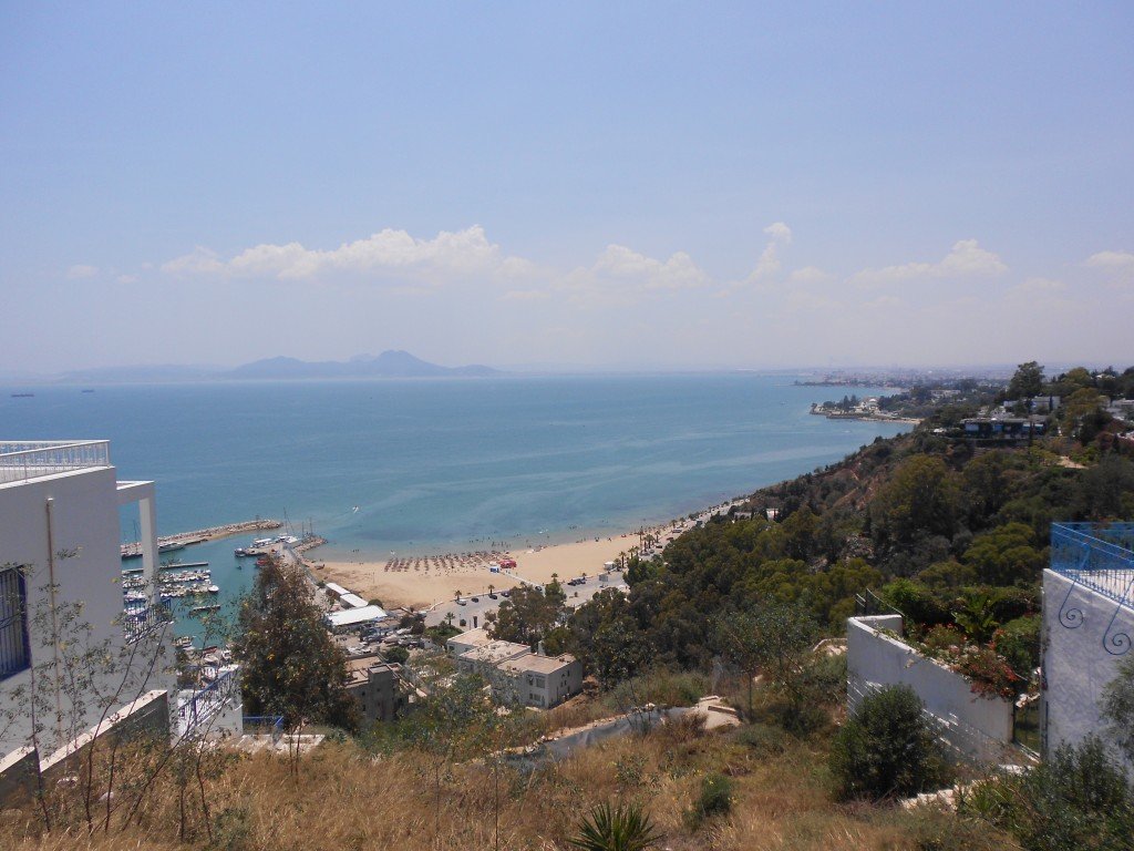 DSCN1341.JPG