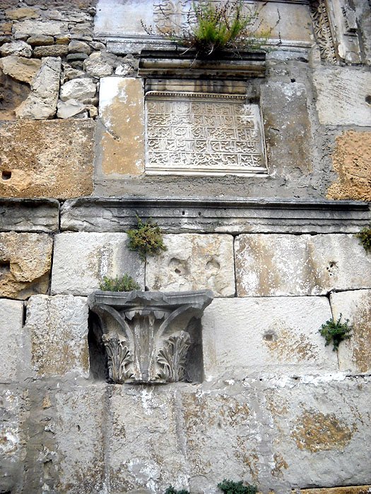 DSCN1473.JPG