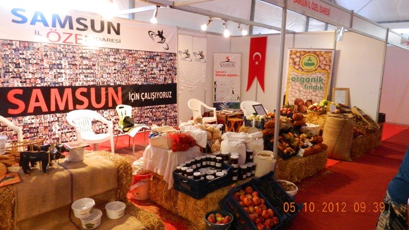 DSCN1584.JPG