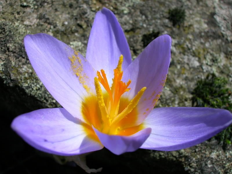 DSCN1585.jpg