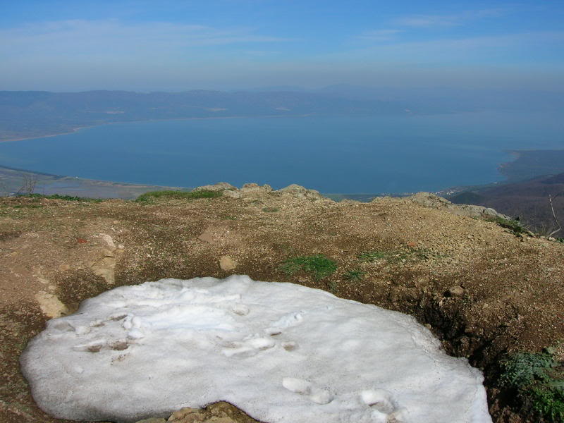DSCN1593.jpg