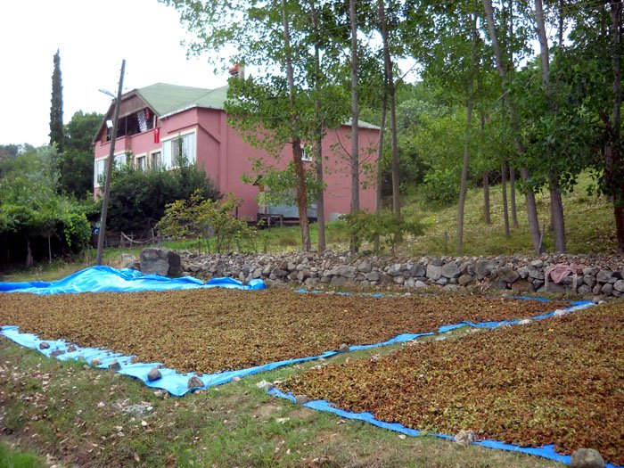 DSCN1627.JPG