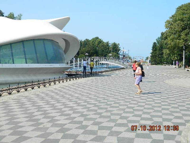 DSCN1706.JPG