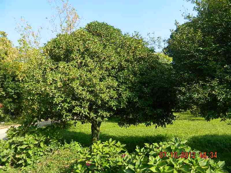 DSCN1711.JPG